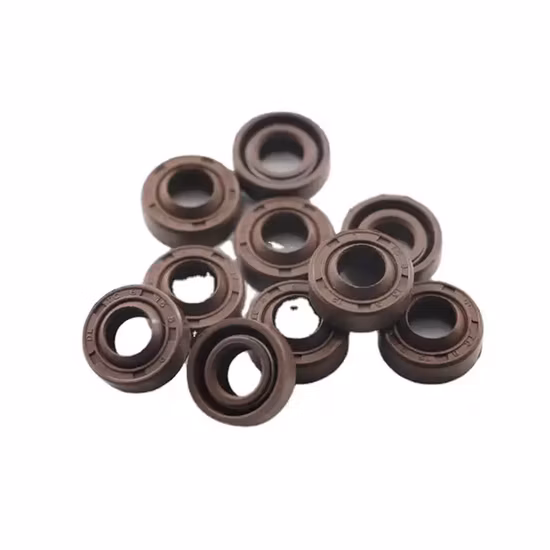 Tc Skeleton Rubber EPDM NBR FKM Auto Spring Mechanical Part Hydraulic PU Cylinder Shaft Pump Industrial Rod Piston U Cup Kit Shock Absorber Big Tg Oil Seal
