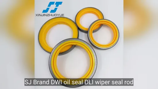 Sj Brand Dwi Oil Seal Dli Wiper Seal Rod Dust Wiper Seal Customize Special Sizes 