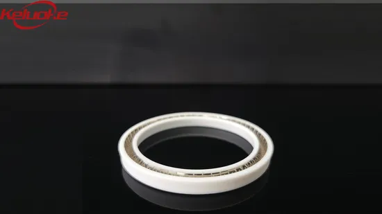 Cylinder Rod Shaft Rotary Seal Ring Spring PTFE 