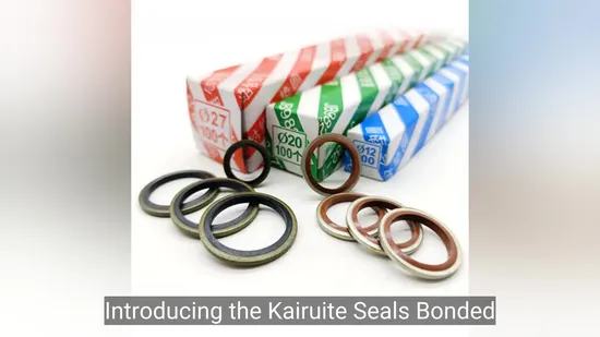 Kairuite Lbh Dhs Hydraulic Cylinder Oil Seals FKM Wiper PU Pistons Rod Dust Ring 