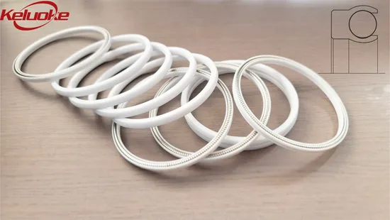 Variseal H /Flexiseal PTFE Energized Spring Seal Ring Naa Nha Helical Stainless Steel O Spring 304/316 PTFE Face Seal 