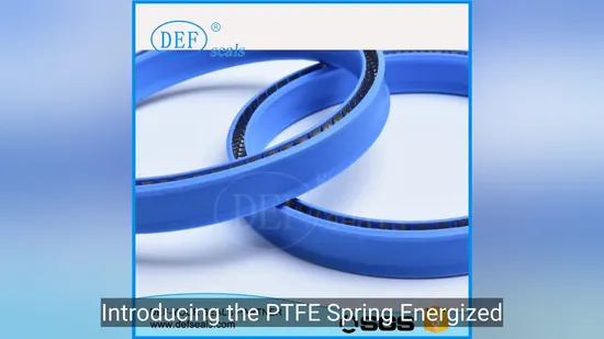 PTFE Spring Energized Seal for Food, Beverage, Medical, Pump, Hydraulic 