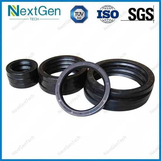 Shaft Oil Seal Skeleton Metal Rotary NBR FKM Material Auto Part Pump Oil Seal 