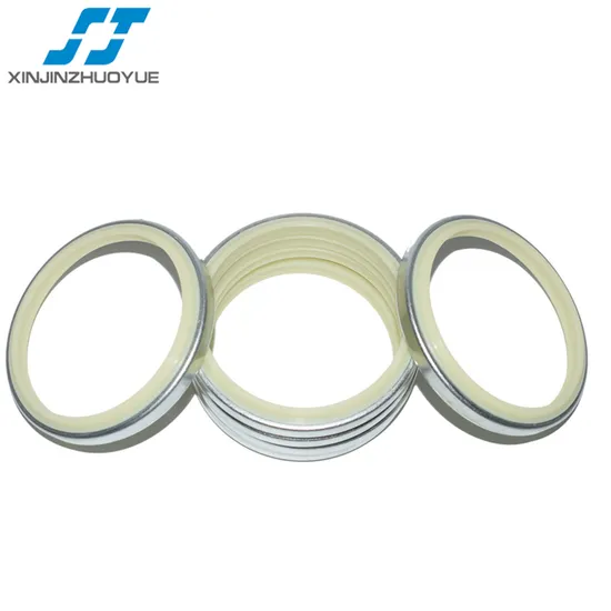 SJ Brand DKBI, DKB, DKBZ, DLI, GA, VAY Metal Dust Seal and Wiper Seal 