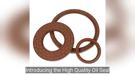 High Quality Framework Oil Seal Tc Oil Seal NBR FKM Vmq Bearing Rotary Oil Seal Oil Seal for Engine Parts Hydraulic Seal Valve Oil Seal Cylinder Oil Seal 