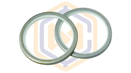 Factory Customized Hydraulic Cylinder Dustproof Dli Wiper Oil Seal 