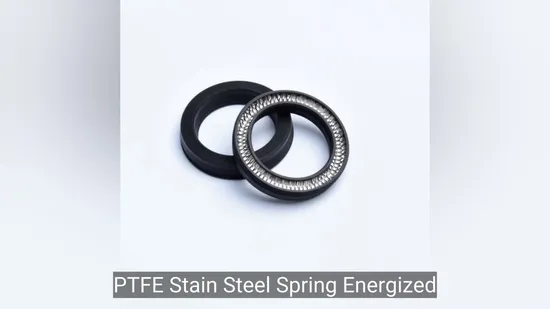 PTFE Stainless Steel Spring Load Energized Seals Valve Variseal Metric Hydraulic 