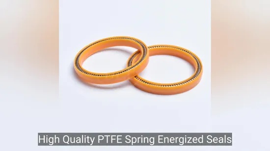 High Quality PTFE Spring Energized Seals with Slanted Coil Spring 