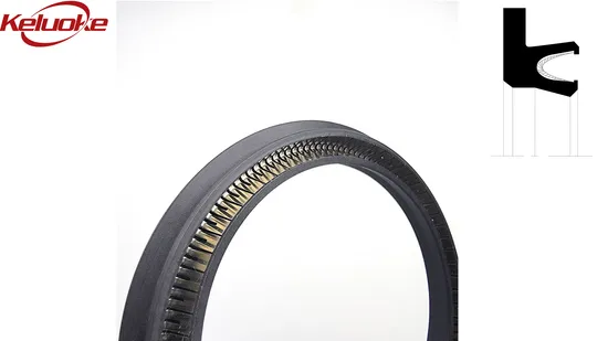Flexiseal Face Internal Pressure Spring Energized Swivle Laser Seal Ring PTFE 