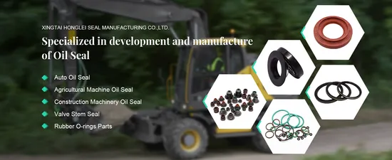 Production of Oil Seals Since 1990, Standard Oil Seals, Truck Oil Seals, Agricultural Machinery Oil Seals, Retentor 