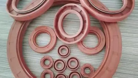Double Lip Metal Case Tc Oil Seal Metric Shaft Seal 