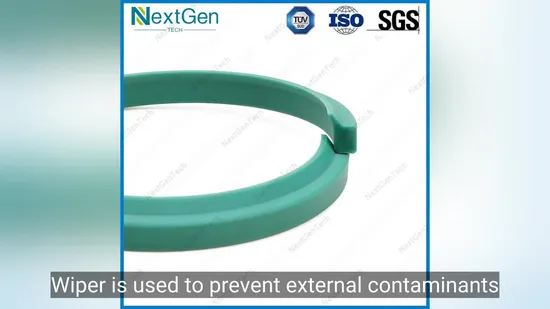 Durable Hydrulic Cylinder Rod Seal Pta Wiper NBR PTFE Seal 