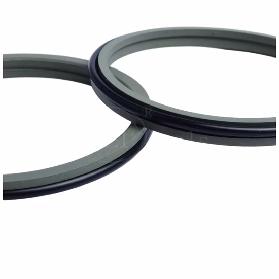 PTFE Hydraulic Seal Rod Seals Step Seals Gsj