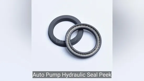 Auto Pump Hydraulic Seal Peek PTFE Spring Energized Seals 