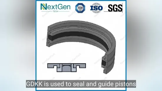 High Quality Gd1000K/Gdkk Six Combination Oil Seal Cylinder Guide Ring Piston Seal 